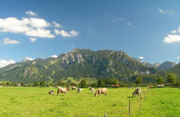 Jaegerhof Und Jaegerstadel Schwangau Kültér fotó